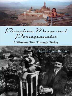 cover image of Porcelain Moon and Pomegranates